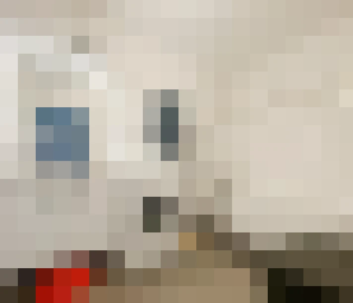  / #16