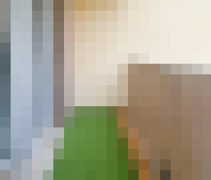  / #17
