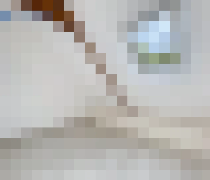  / #15