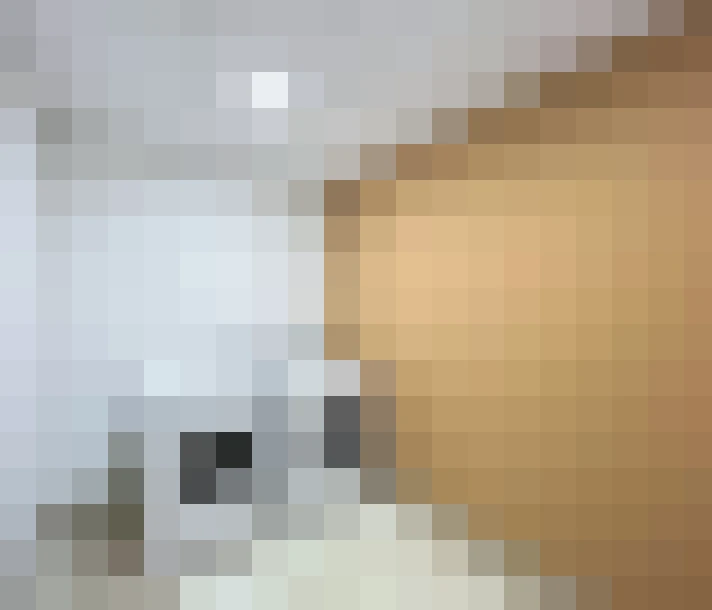  / #13