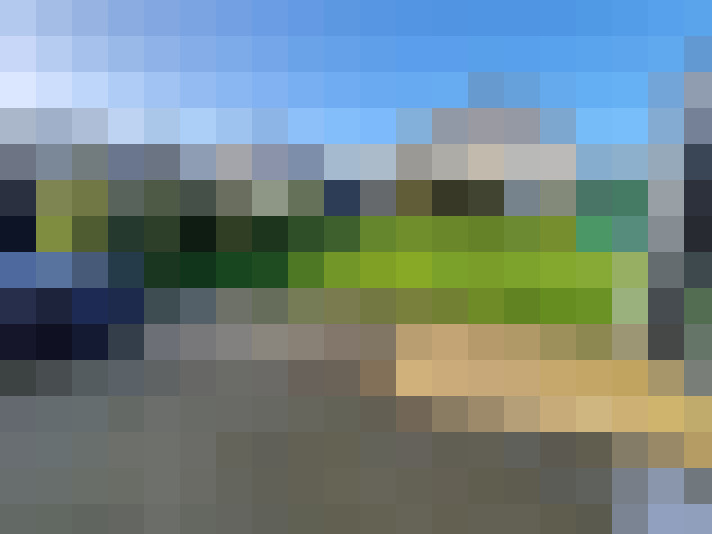  / #14