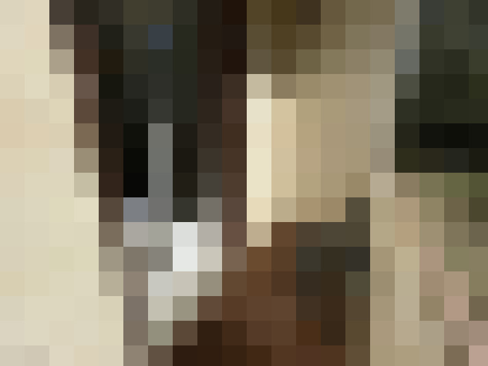  / #9