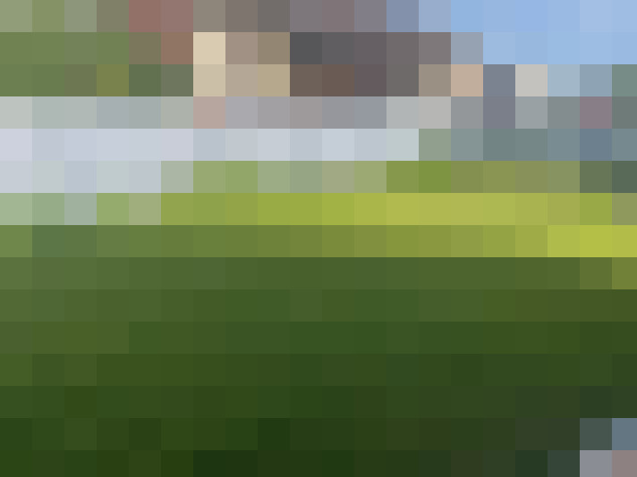  / #15