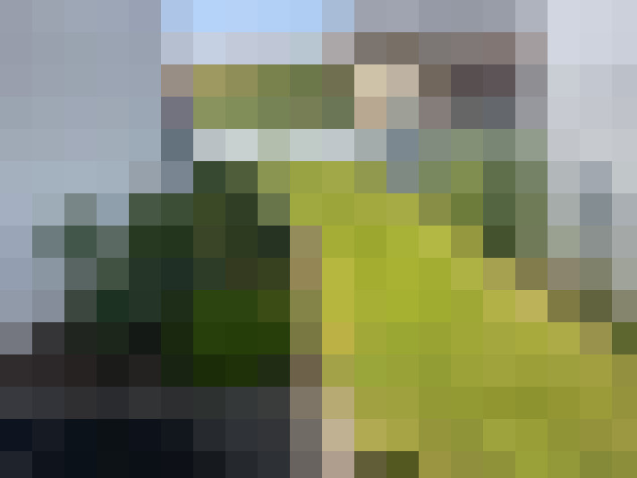  / #16