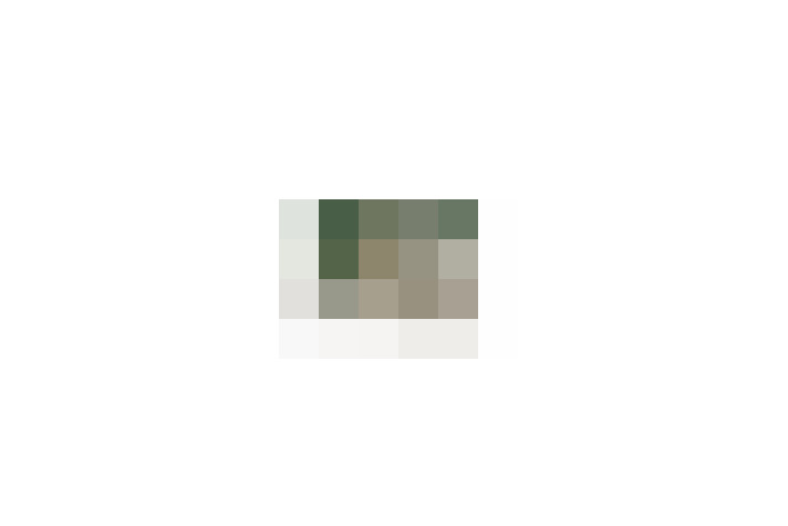  / #17