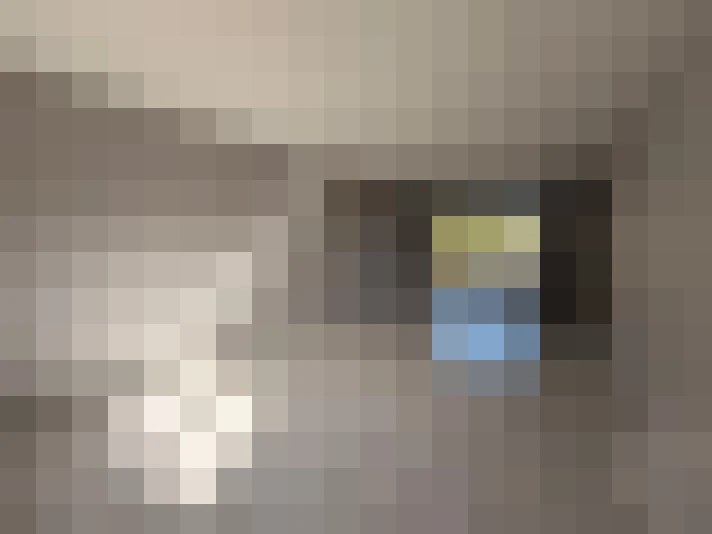  / #7