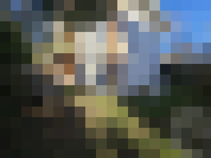  / #14