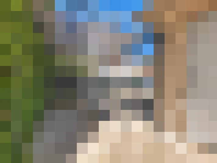  / #19