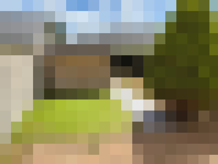  / #8