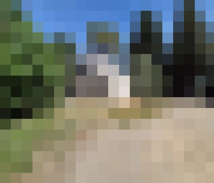  / #13