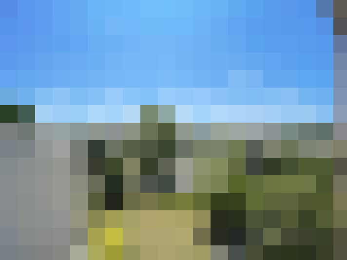  / #11