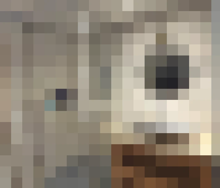  / #13