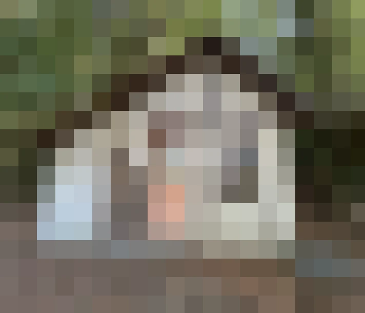  / #16