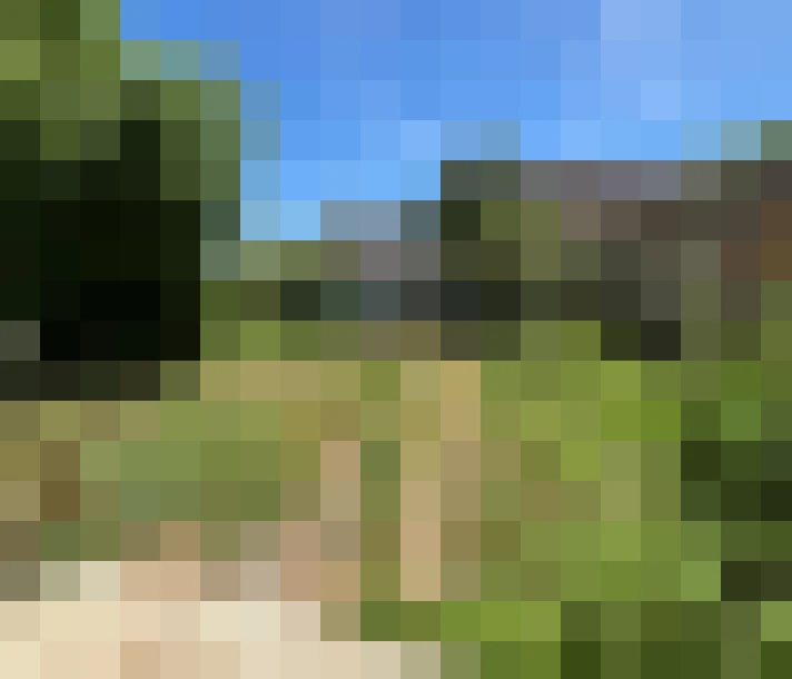  / #15