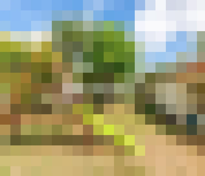  / #15
