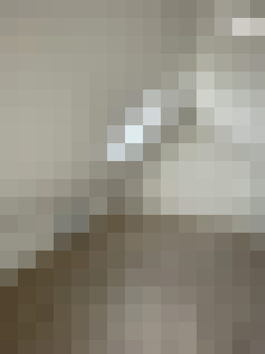  / #21