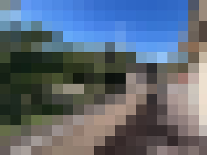  / #16