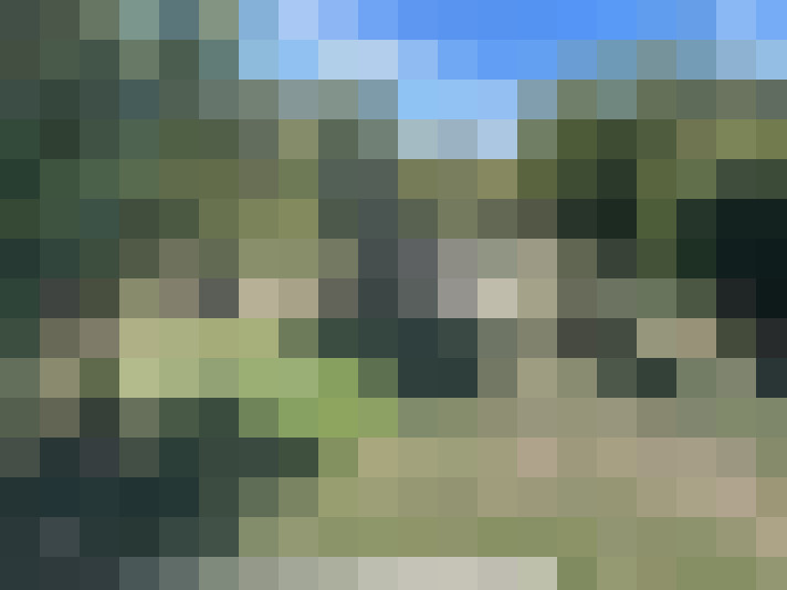  / #17