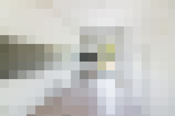  / #8