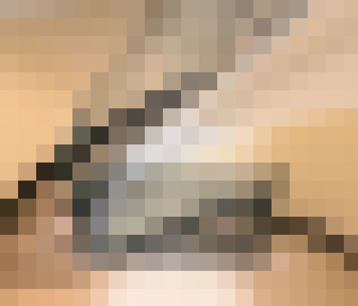  / #11