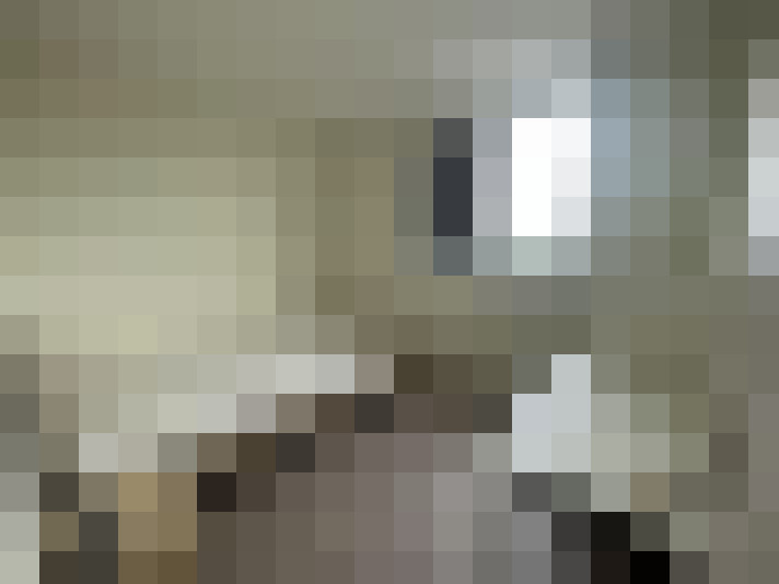  / #8