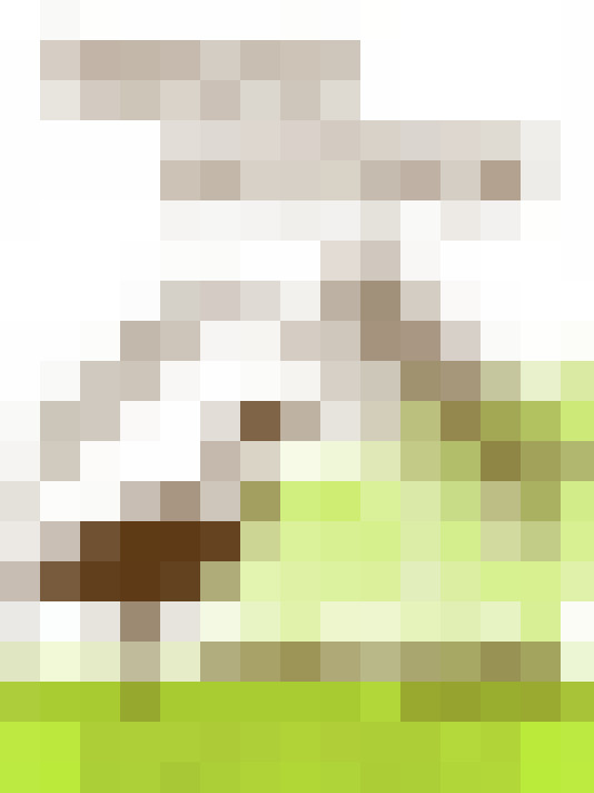  / #8
