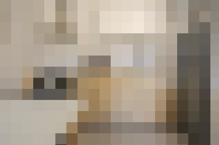  / #13