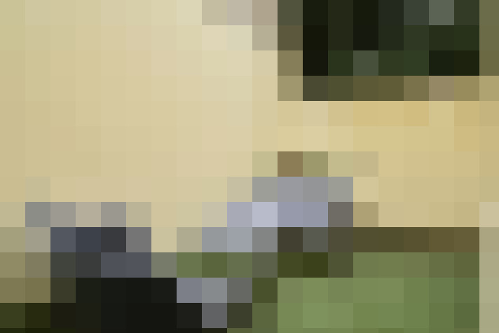  / #20