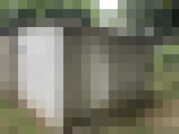  / #12