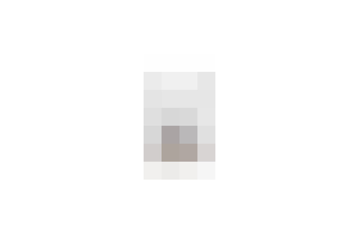  / #19