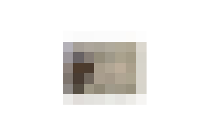  / #15