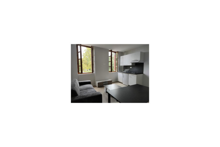 Voir la photo 1/6 du type apartment à Albi