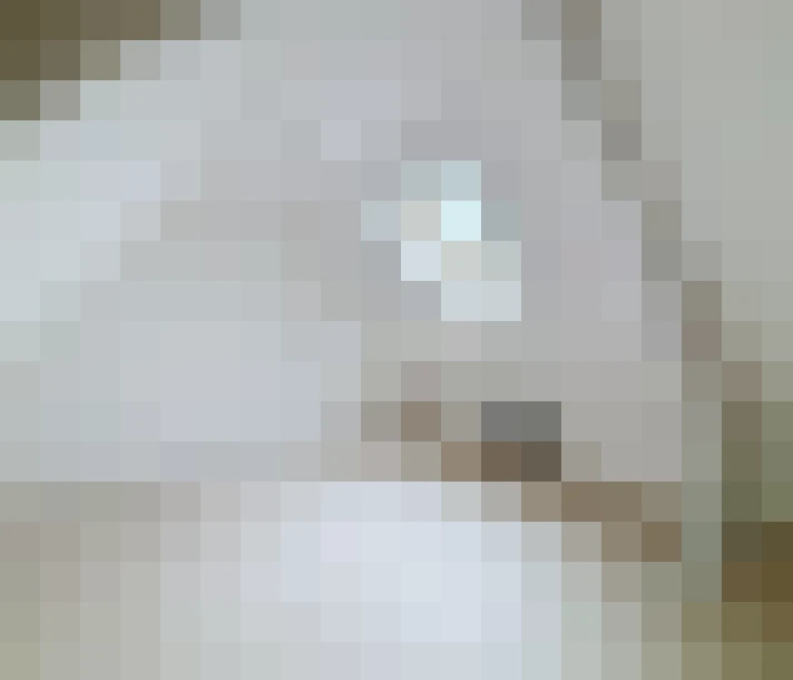  / #13