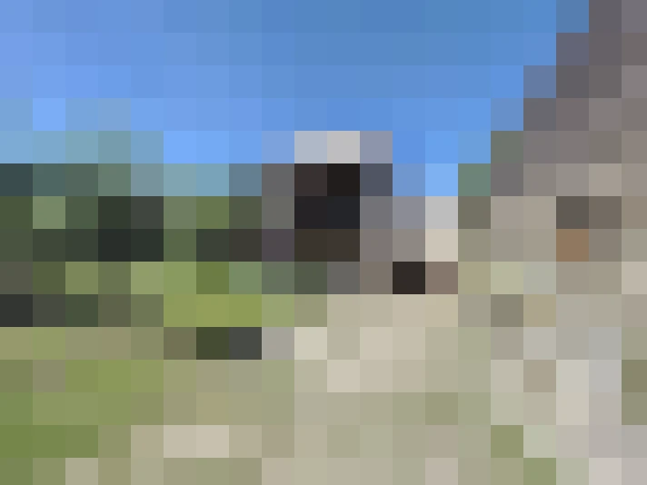  / #12