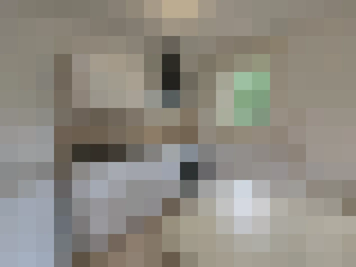  / #7