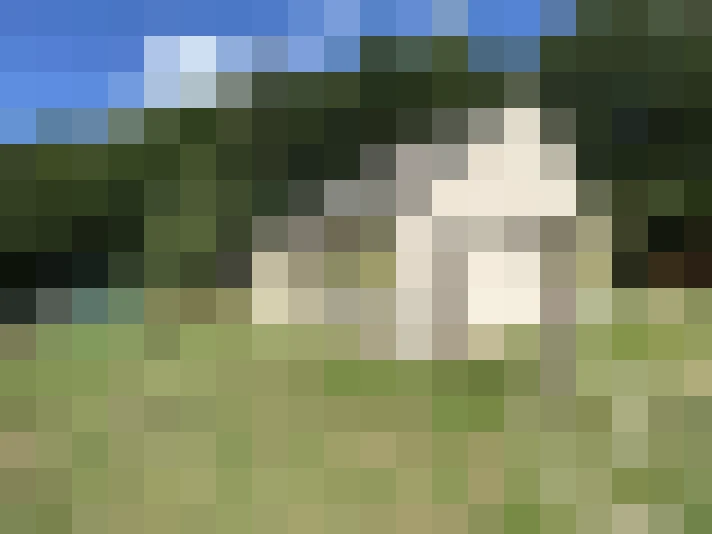  / #15