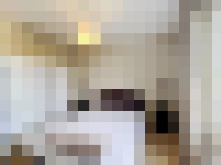  / #16