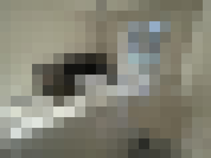  / #2