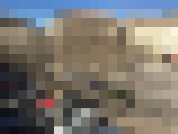  / #8