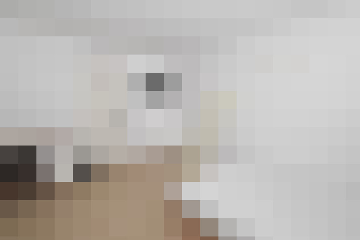  / #8