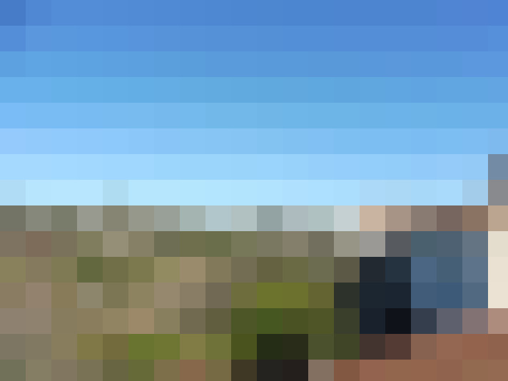  / #7