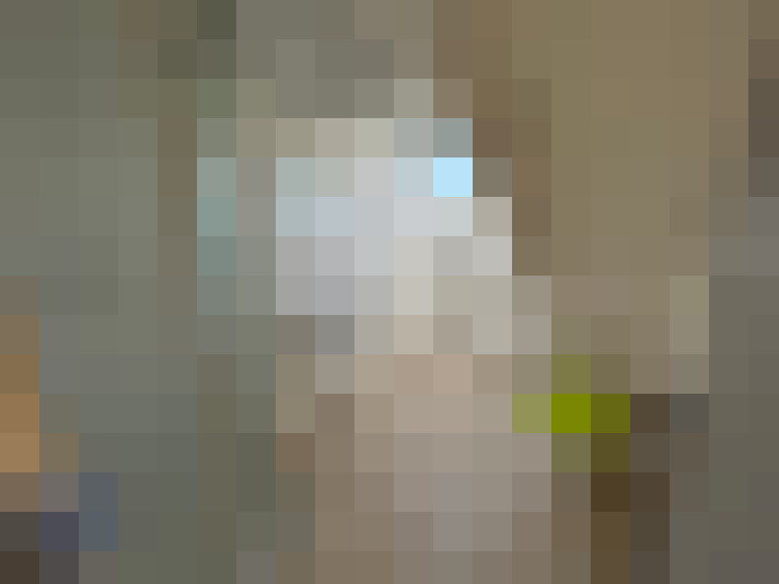 / #12