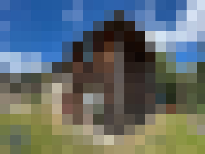  / #12