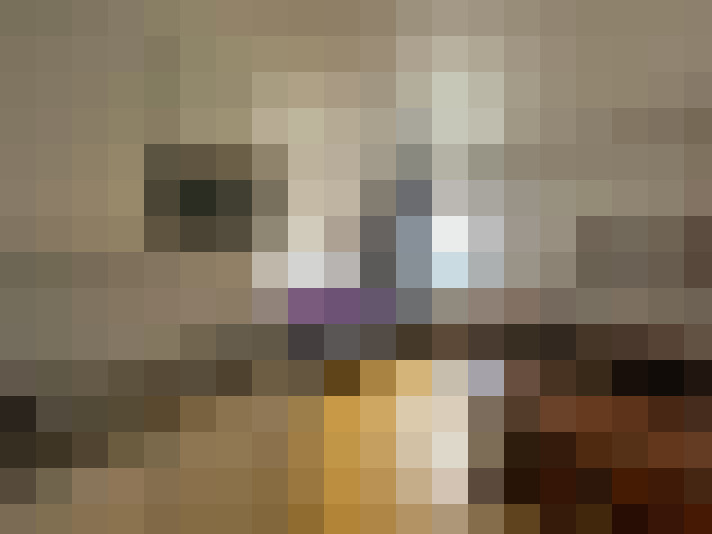  / #7
