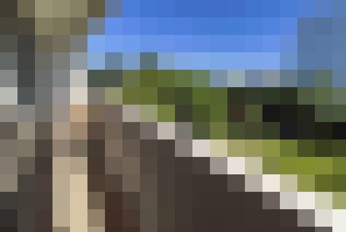  / #7