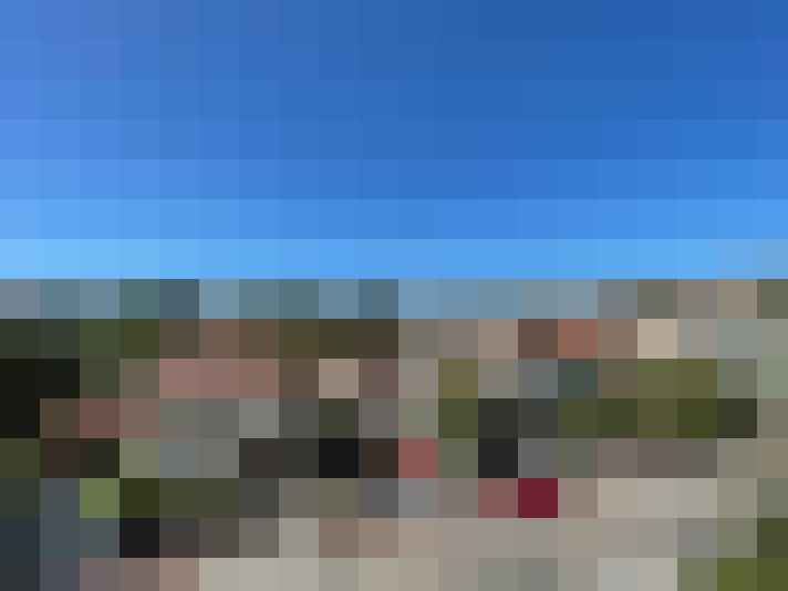  / #7