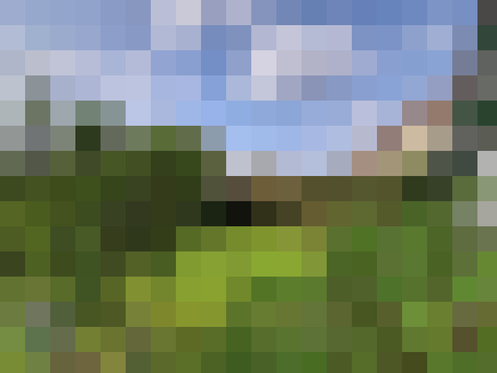  / #7