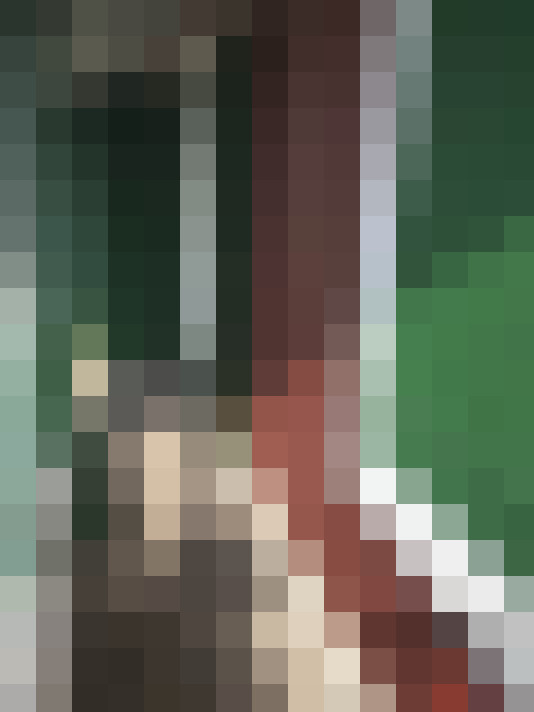  / #8