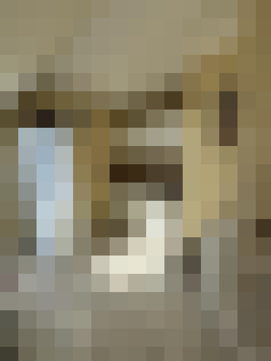  / #11