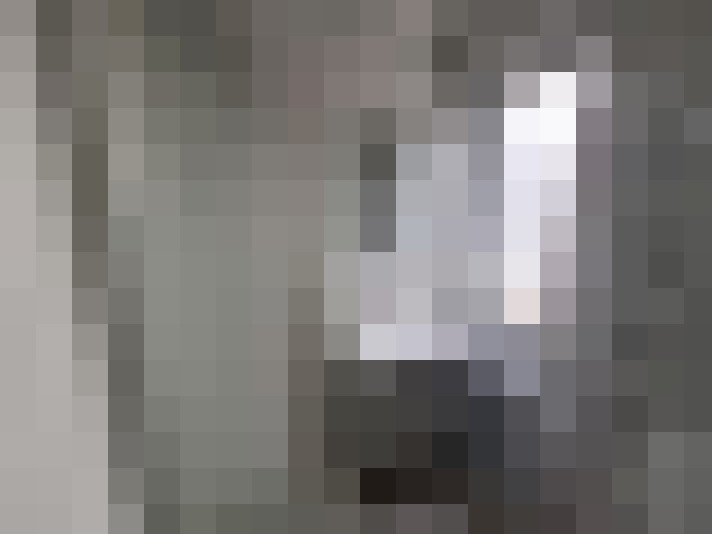  / #8